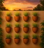 12 Pcs Red Terracotta 6.5 Inchs Planters