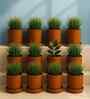 12 Pcs Red Terracotta 6 Inchs Planters