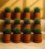 12 Pcs Red Terracotta 6 Inchs Planters
