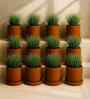 12 Pcs Red Terracotta 6 Inchs Planters
