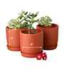 12 Pcs Red Terracotta 6 Inchs Planters