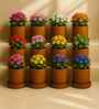 12 Pcs Red Terracotta 6 Inchs Planters