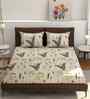 180 TC Microfiber Floral  Fitted Bedsheet with 2 Pillow Covers (Cream, 72x78+10 Inch)