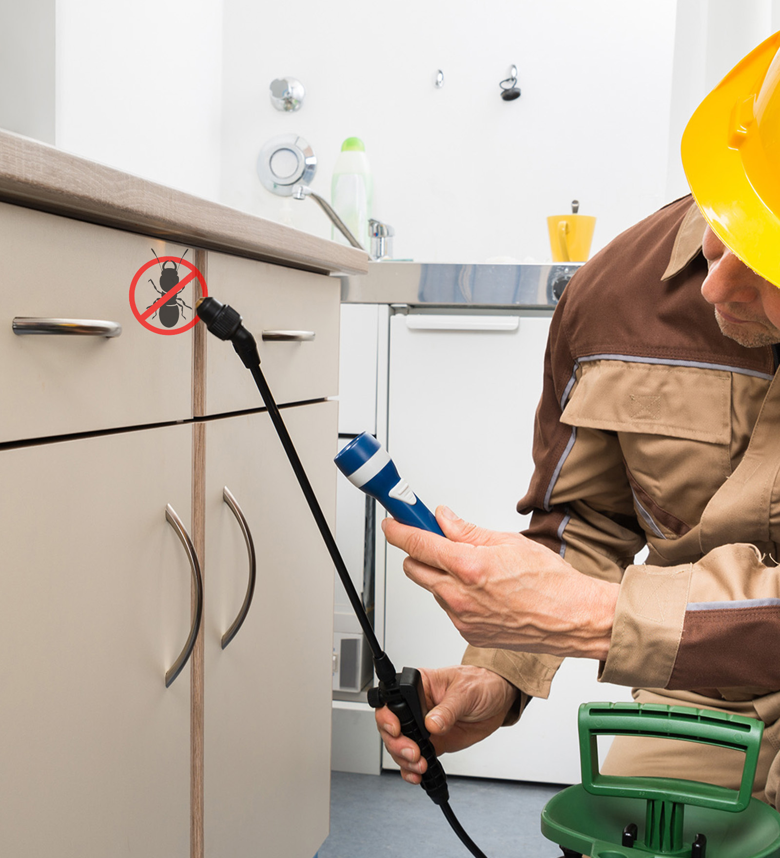 1BHK 1 year 2 services Termite Control 1BHK 1 year 2 services Termite Control