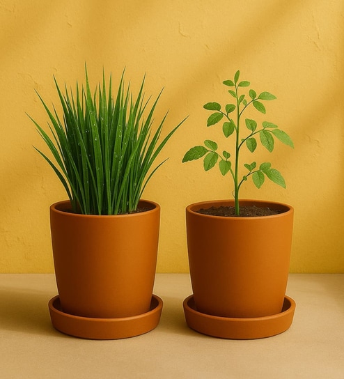 2 Pcs Red Terracotta 6 Inchs Planters
