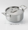 2.5 Ltr Stainless Steel Non-Stick Cooking Pot with Lid