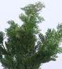 2.7Ft Artificial Topiary Cedar Tree Plant with Pot