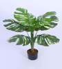 2.8Ft Artificial Variegated Monstera Plant with Pot