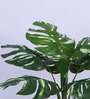 2.8Ft Artificial Variegated Monstera Plant with Pot