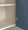 2 Door Mirror Glossy triple layered UV Resistant handless cabinet in Blue Berry Finish