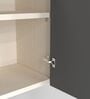 2 Door Mirror Glossy triple layered UV Resistant handless cabinet in Grey Finish