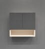 2 Door Mirror Glossy triple layered UV Resistant handless cabinet with Space Organizer in Grey Finish