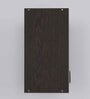 2 Doors Modular Wall Mounted Kitchen Cabinet with Adjustable Shelf in Chiyoda Wange Finish