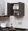 2 Doors Modular Wall Mounted Kitchen Cabinet with Adjustable Shelf in Chiyoda Wange Finish