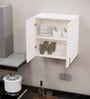 2 Doors Modular Wall Mounted Kitchen Cabinet with Adjustable Shelf in Highland Pine Finish