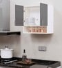 2 Doors Modular Wall Mounted Kitchen Cabinet with Organizer Shelf in Slate Grey & Highland Pine Finish