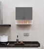 2 Doors Modular Wall Mounted Kitchen Cabinet with Organizer Shelf in Slate Grey & Highland Pine Finish