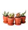 2 Pcs Red Terracotta 4.5 Inchs Planters