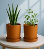 2 Pcs Red Terracotta 4 Inchs Planters