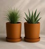 2 Pcs Red Terracotta 4 Inchs Planters