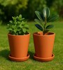 2 Pcs Red Terracotta 5.5 Inchs Planters