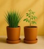 2 Pcs Red Terracotta 6 Inchs Planters