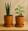 2 Pcs Red Terracotta 6 Inchs Planters