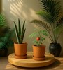 2 Pcs Red Terracotta 8 Inchs Planters