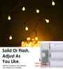 20 LED Bulb String Light
