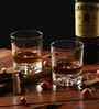 295 ML WildSpirit Crystal Whiskey Glass Set of 6