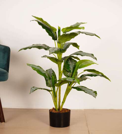 3.1Ft Artificial Dieffenbachia Plant with Pot