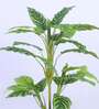 3.1Ft Artificial Dieffenbachia Plant with Pot