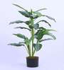 3.1Ft Artificial Dieffenbachia Plant with Pot