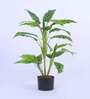 3.1Ft Artificial Dieffenbachia Plant with Pot