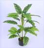 3.1Ft Artificial Dieffenbachia Plant with Pot