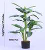 3.1Ft Artificial Dieffenbachia Plant with Pot