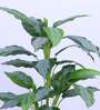 3.1Ft Artificial Dieffenbachia Plant with Pot