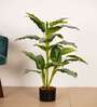 3.1Ft Artificial Dieffenbachia Plant with Pot
