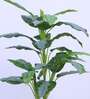 3.1Ft Artificial Dieffenbachia Plant with Pot