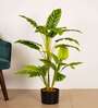 3.1Ft Artificial Dieffenbachia Plant with Pot