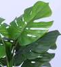 3.1Ft Artificial Monstera Deliciosa Plant with Pot