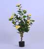 3.6Ft Artificial Camellia Flower Plant with Yellow Blooms with Pot