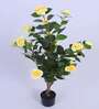3.6Ft Artificial Camellia Flower Plant with Yellow Blooms with Pot