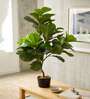 3.6Ft Artificial Fiddle Leaf Fig Tree Plant with Pot