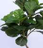 3.6Ft Artificial Fiddle Leaf Fig Tree Plant with Pot