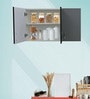 3 Door  Storage Cabinet