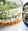 Assorted 3-Layer Plastic Sprout Maker Box