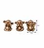 3 Musketeers Monkey (Set of 3) Brass Animal Figurine
