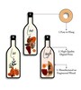 3 Pcs Love Love Laugh Wooden Bottles Hanging