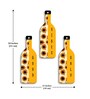 3 Pcs Good Vibe Only Wooden Bottles Hanging